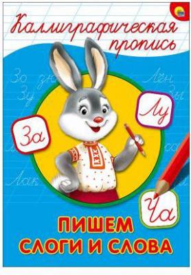 Костина Виктория. Каллиграфическая пропись. Пишем слоги и слова – фото 1