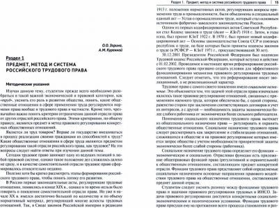 Костян И.А., Бережнов Андрей Александрович, Куренная А. М. Трудовое право России. Практикум – фото 2
