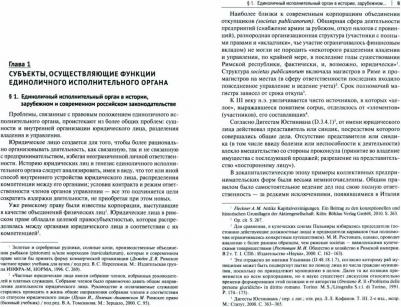 Косякин Игорь Алексеевич. Единоличный исполнительный орган акционерного общества. Монография – фото 2