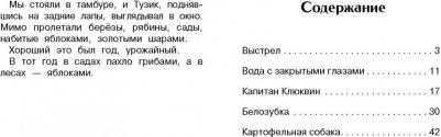 Коваль Юрий Иосифович. Капитан Клюквин и другие рассказы – фото 5