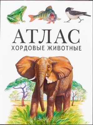 Козлов Михаил Алексеевич, Дольник Виктор Рафаэльевич. Хордовые животные. Атлас – фото 1