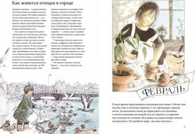 Кристина Бьорк. Календарь Линнеи – фото 1
