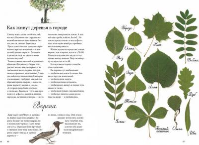 Кристина Бьорк. Календарь Линнеи – фото 4