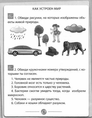 Кучук Оксана Владимировна. Окружающий мир. 3 класс. Тренажер. ФГОС – фото 1