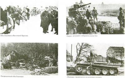 Куровски Франц. Битва за рейх. Последние бастионы Гитлера. 1944-1945 – фото 1