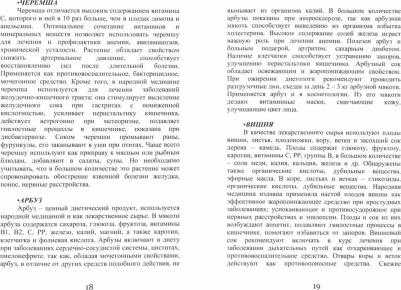 Кузнецова А. Летние лекарства – фото 2