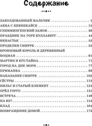 Лагерлеф Сельма. Путешествие Нильса с дикими гусями – фото 7