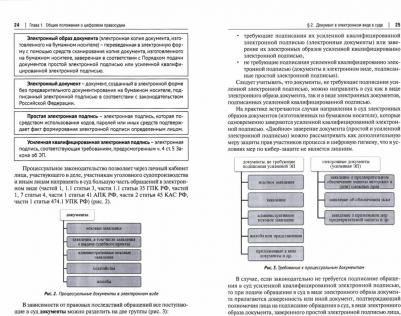 Лаптев Василий Андреевич, Соловяненко Нина Ивановна. Цифровое правосудие. Цифровой документ. Монография – фото 2