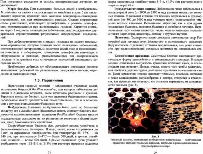 Латыпов Далис Гарипович, Тимербаева Разалия Рустамовна, Кириллов Евгений Геннадьевич. Болезни и вредители медоносных пчел. Учебное пособие для вузов – фото 1