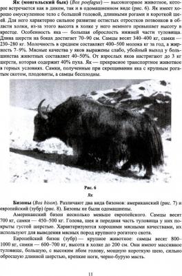 Лебедько Егор Яковлевич, Танана Людмила Александровна, Климов Николай Николаевич. Разведение и селекция сельскохозяйственных животных. Учебник – фото 3