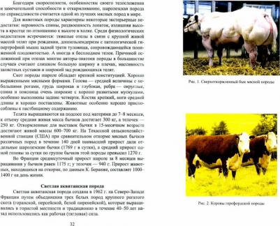 Лебедько Егор Яковлевич. Мясные породы крупного рогатого скота. Учебное пособие – фото 2
