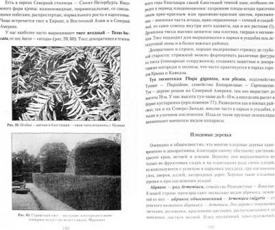 Лепкович Игорь Павлович. Парковые и усадебные растения России и Европы – фото 1