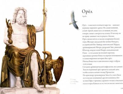 Лестр Елена Михайловна. Птица по имени – фото 2