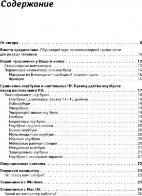 Левина Любовь Тимофеевна. Компьютерный букварь для ржавых чайников – фото 2