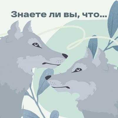 Ли Элла. Женщина нового времени. Как обрести внутреннюю силу и повысить свой уровень жизни – фото 3