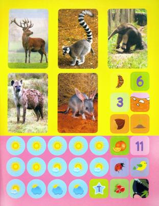 Литвиненко Наталья Н. Звери. Сборник развивающих заданий с наклейками. Загадки, пословицы, скороговорки. 40 заданий – фото 2