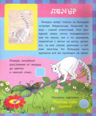 Литвиненко Наталья Н. Звери. Сборник развивающих заданий с наклейками. Загадки, пословицы, скороговорки. 40 заданий – фото 3