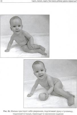 Лупандина-Болотова Галина Сергеевна. Сидеть, ползать, ходить. Как помочь ребенку сделать первый шаг? Эволюция движения от 0 до года – фото 1