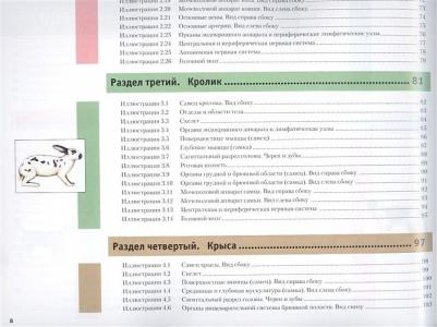 Маккракен Томас О., Кайнер Роберт А. Атлас анатомии мелких домашних животных – фото 1
