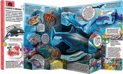 Malamalama Энциклопедия открытий Животные – фото 2