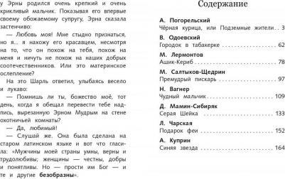 Мамин-Сибиряк Дмитрий Наркисович, Одоевский Владимир Федорович, Погорельский Антоний. Сказки русских писателей. Черная курица – фото 2