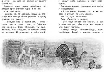 Мамин-Сибиряк Дмитрий Наркисович. Серая Шейка 9785389148949 – фото 9