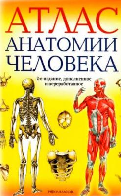 Марысаев В.Б. Атлас анатомии человека – фото 7