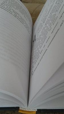 Мартен-Люган Аньес. Влюбленные в книги не спят в одиночестве – фото 13