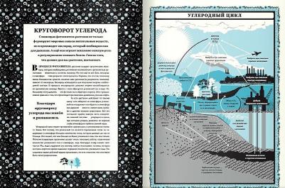 Мартин Дженкинс. Мир растений – фото 2