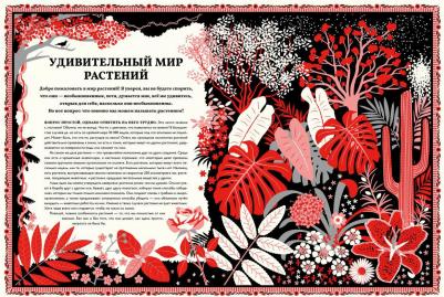 Мартин Дженкинс. Мир растений – фото 3