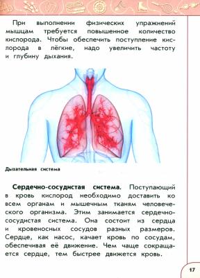 Матвеев Анатолий Петрович. Физическая культура. 4 класс. Учебник. ФГОС – фото 1