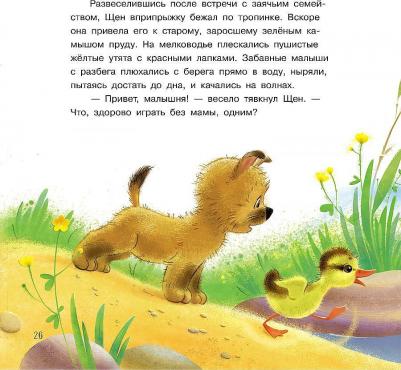 Матвеева Елена Ивановна. Что случилось во дворе? Сказки – фото 7