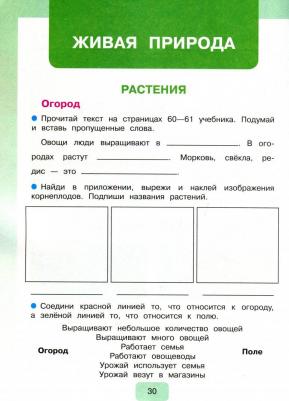 Матвеева Наталия Борисовна, Попова Мария Анатольевна. Мир природы и человека. 4 класс. Рабочая тетрадь. ФГОС – фото 3