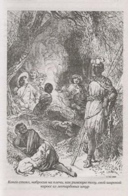 Майн Рид Томас. Охотники за жирафами. Юные охотники – фото 3