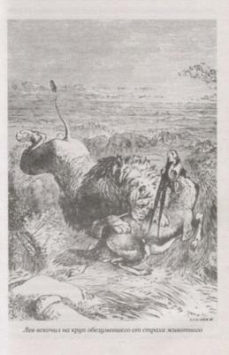 Майн Рид Томас. Охотники за жирафами. Юные охотники – фото 9