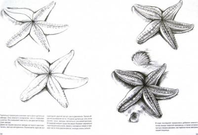 Мазовецкая Виктория Владимировна. Простые уроки рисования для начинающих – фото 8