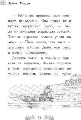 Медоус Дейзи. Лисичка Тыковка, или Лунный камень – фото 17