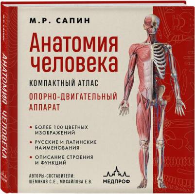 Михаил Романович Сапин. Анатомия человека. Компактный атлас. Опорно-двигательный аппарат – фото 1