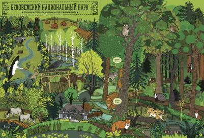 Мизелиньска Александра, Мизелиньский Даниэль. По дороге в Йеллостоун – фото 11