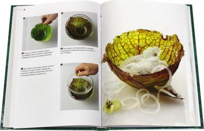 Молиненго Тьерри. Карвинг. Пошаговая энциклопедия – фото 3