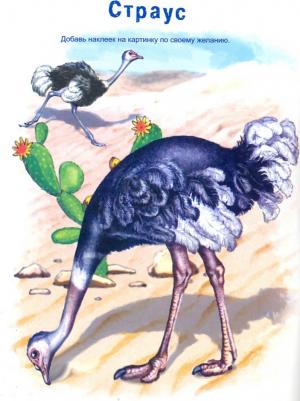 Морозова Д. Конструктор. Птички (книжка с многоразовыми наклейками) – фото 2