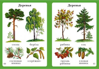 Моя первая. Самая любимая. От 6 месяцев до 3 лет – фото 5