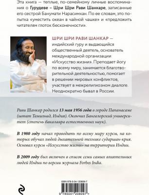 Нарасимхан Банумати. Гурудев. Плато на вершине – фото 2