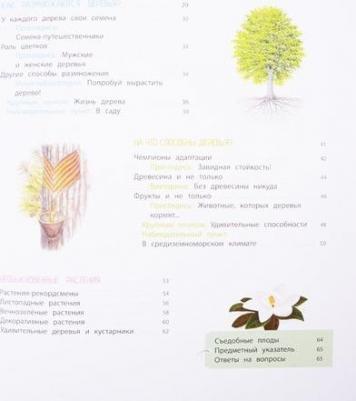 Натали Торджман. Деревья и кустарники – фото 2