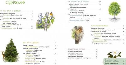 Натали Торджман. Деревья и кустарники – фото 6