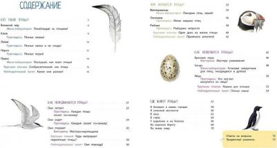 Натали Торджман. Птицы – фото 5