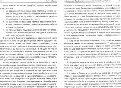 Небожин Александр Иванович. Нейрогенные дисфункции нижних мочевыводящих путей – фото 1