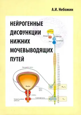 Небожин Александр Иванович. Нейрогенные дисфункции нижних мочевыводящих путей