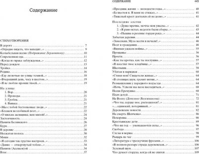 Некрасов Николай Алексеевич. Кому на Руси жить хорошо 9785389084841 – фото 4