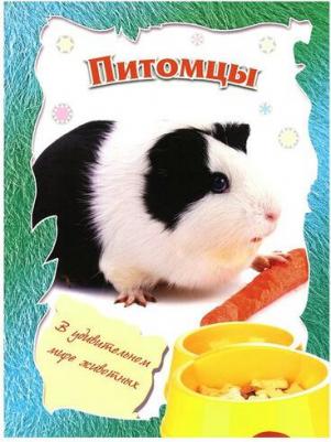 Нет автора "В удивительном мире животных. Питомцы" – фото 1